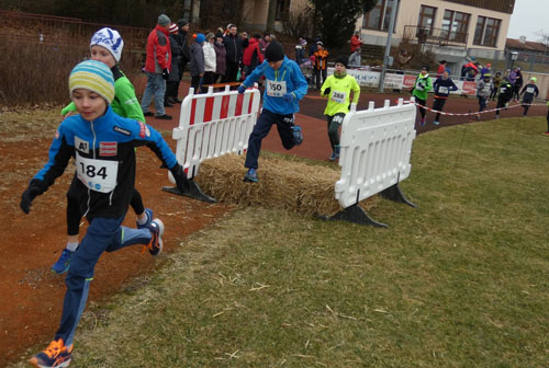Crosslauf 201816