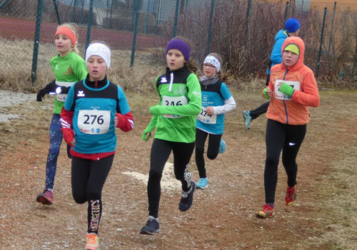 Crosslauf 201816